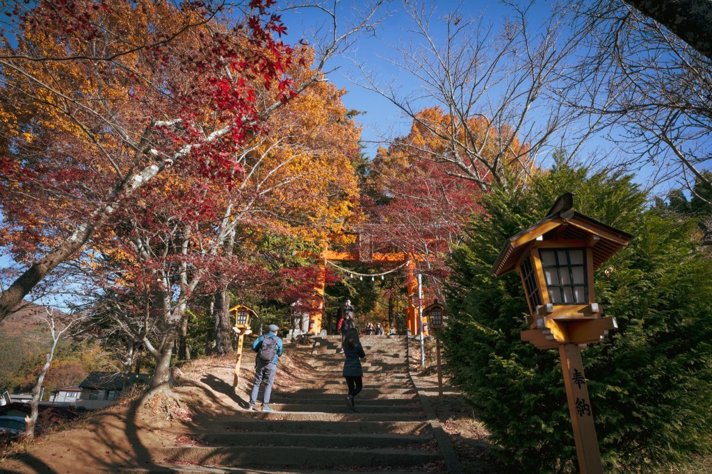 Climbing the Steps at Arakurayama Sengen Park