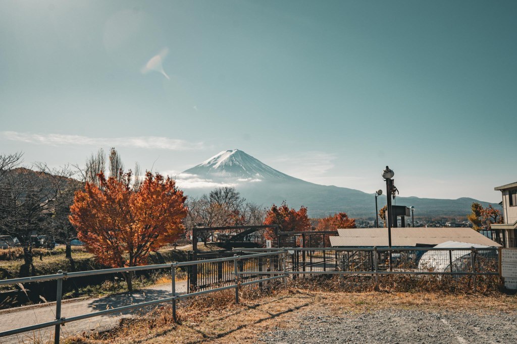 Rural Surrounding of Kogamasao Memorial Park