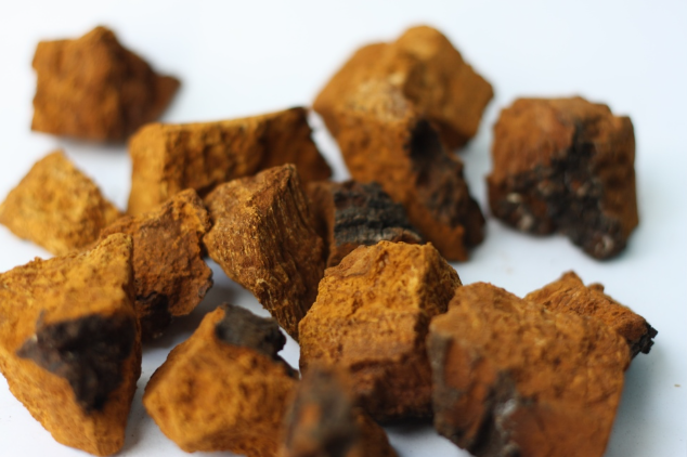 Chaga Mushroom